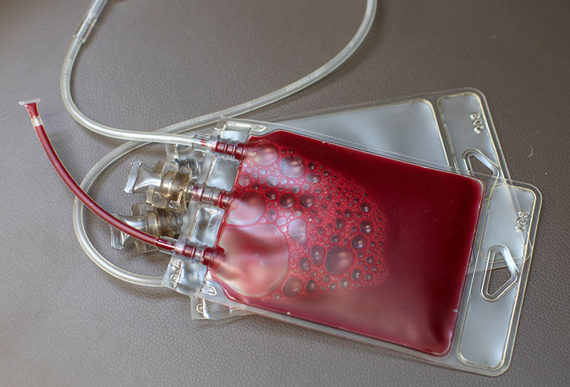 1st Pet Opens Animal Blood Bank