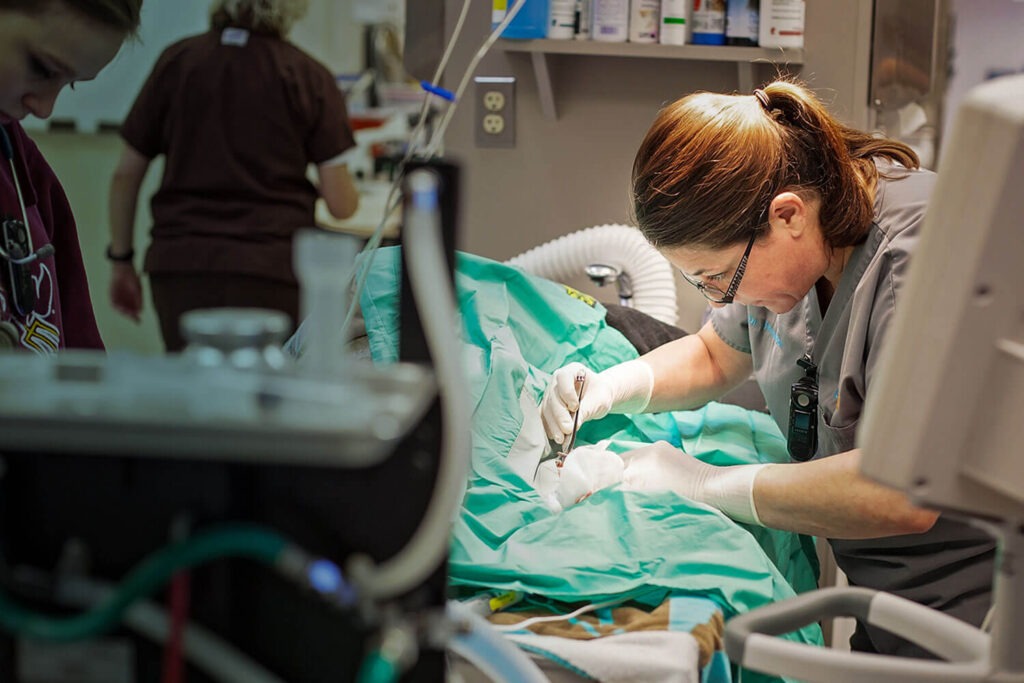 24/7 Emergency: 1st Pet Veterinary Centers
