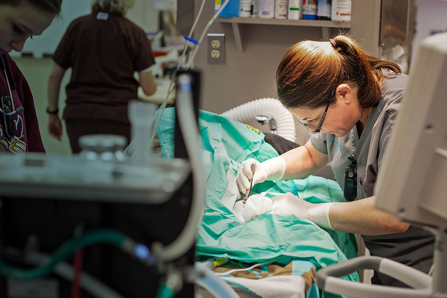 24/7 Emergency: 1st Pet Veterinary Centers