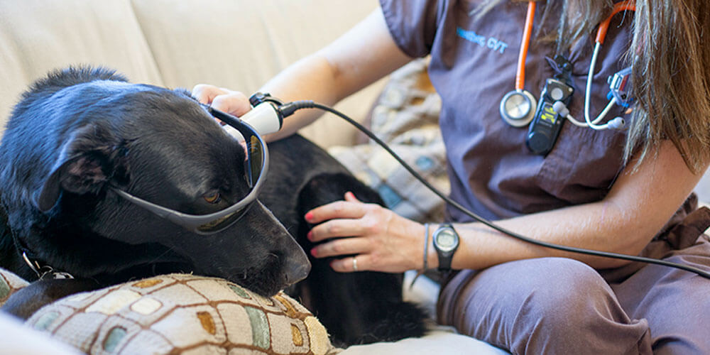 Cold Laser Therapy