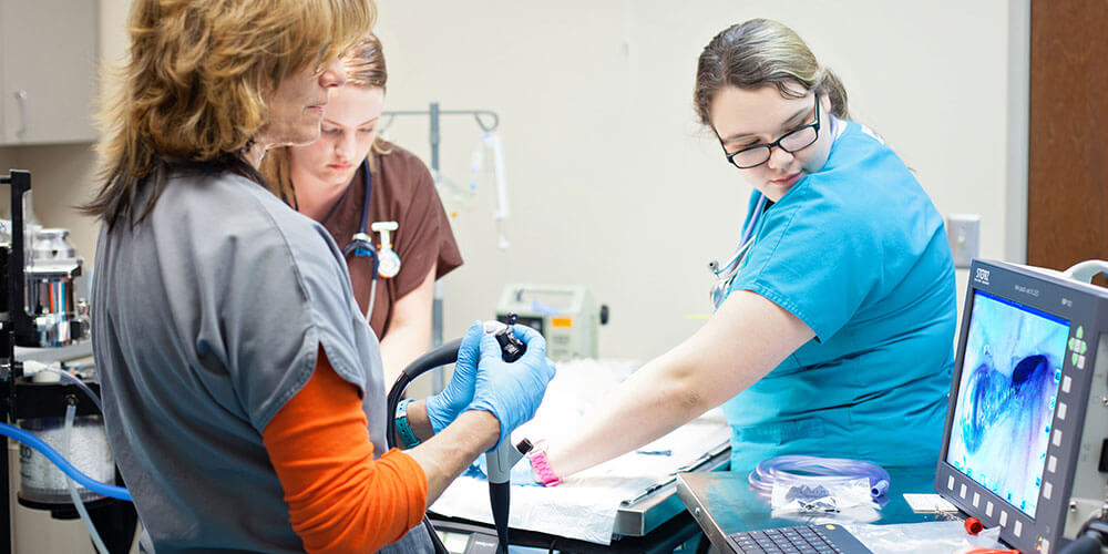 Endoscopy