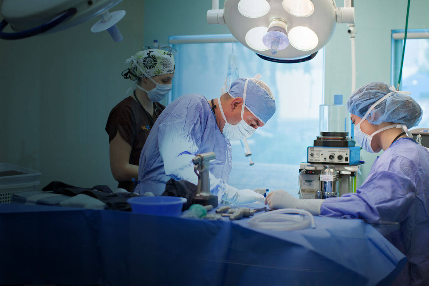 Veterinary Surgery Slide