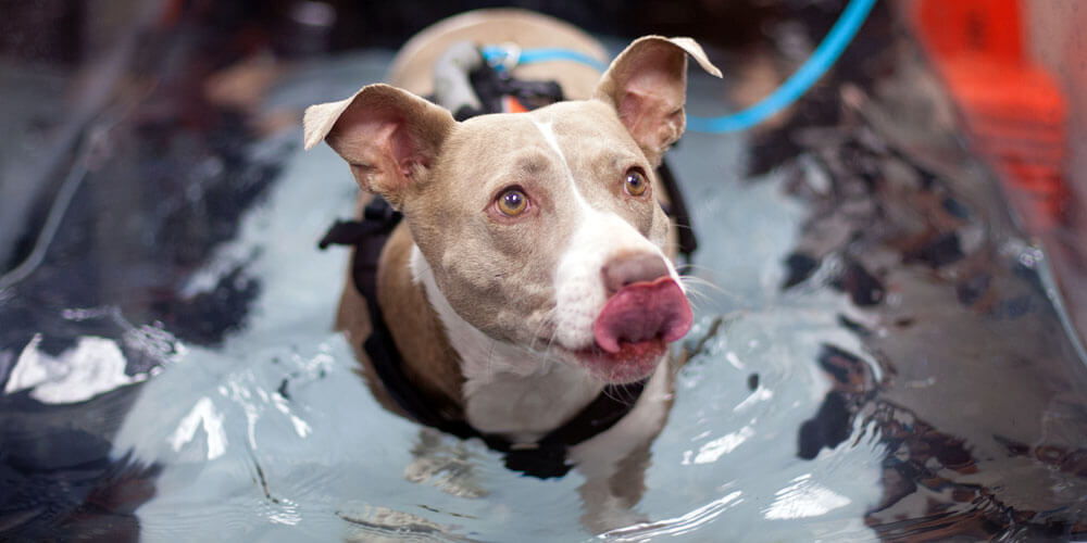 Hydrotherapy