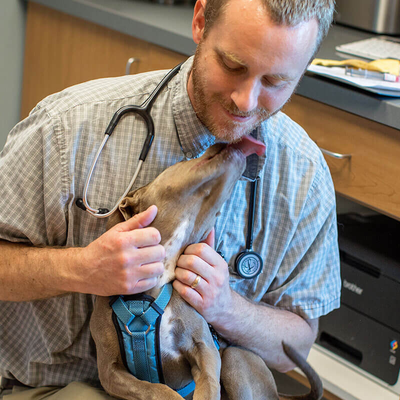 1st Pet Vet Patients-01