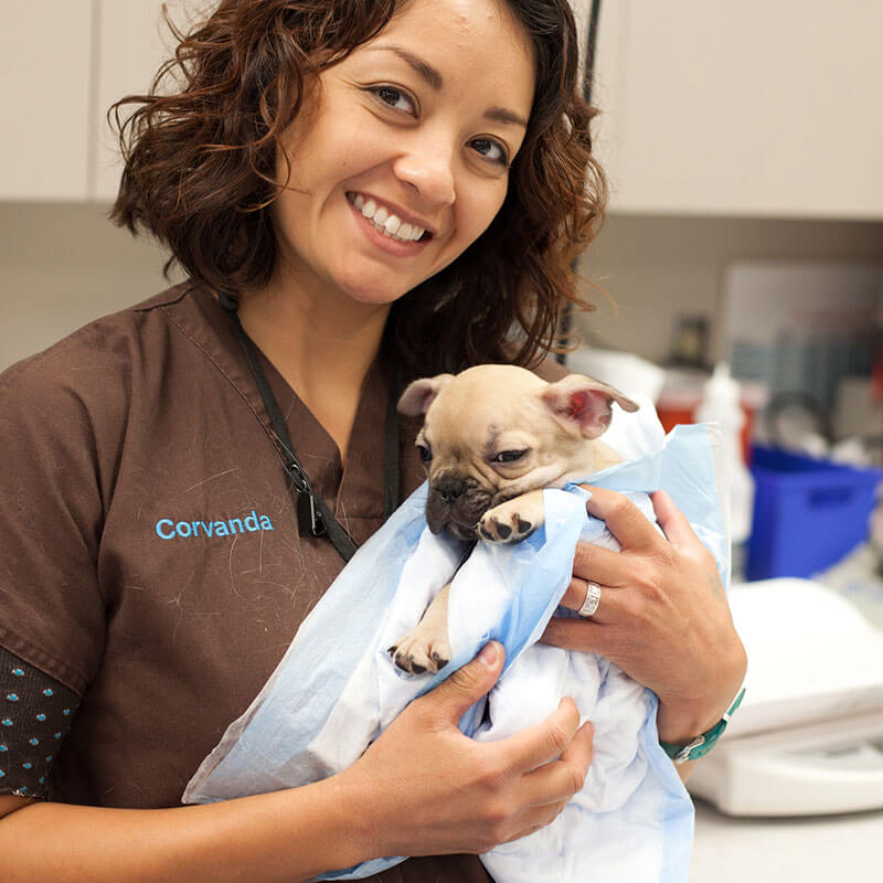 1st Pet Vet Patients-10