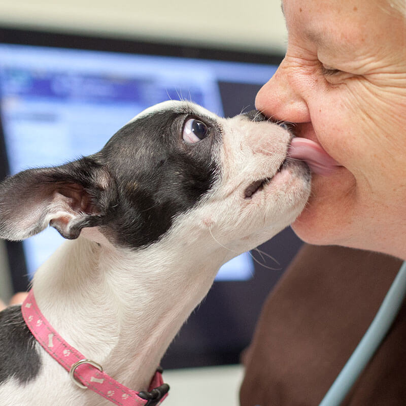 1st Pet Vet Patients-11