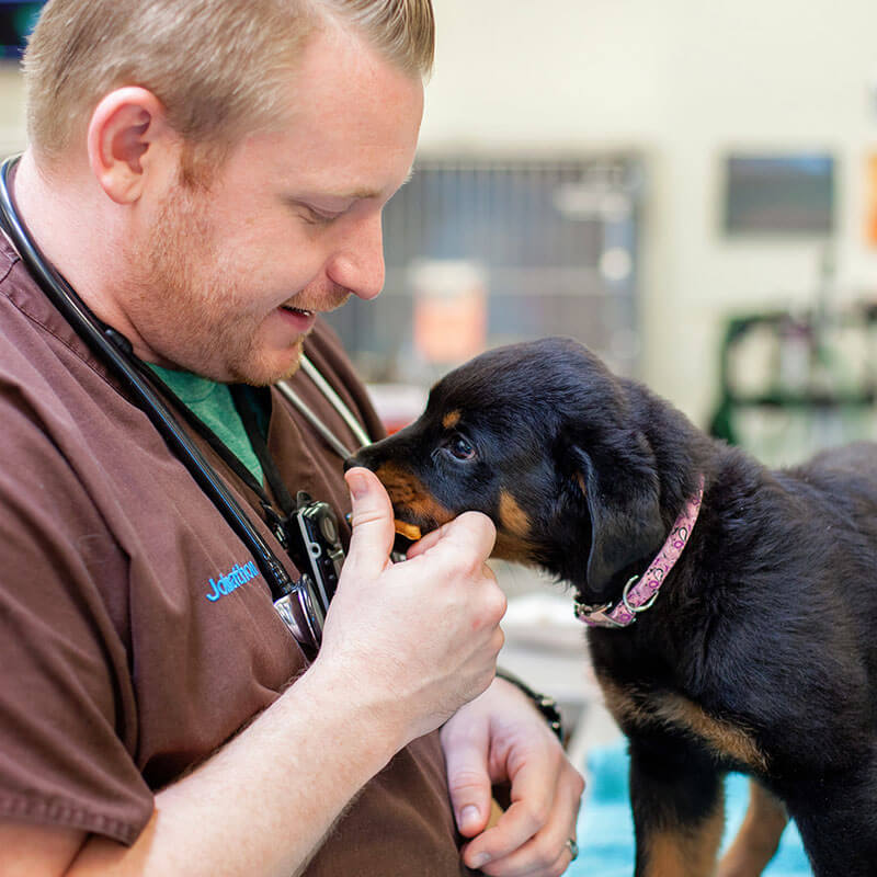 1st Pet Vet Patients-35
