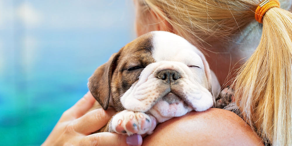 Puppy Care