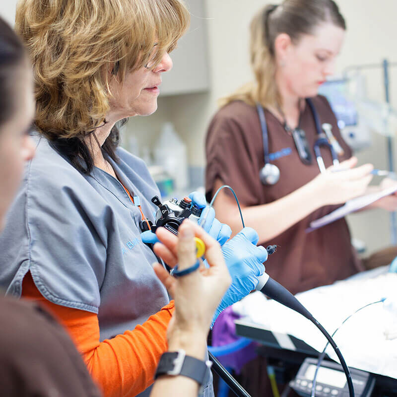 Endoscopy