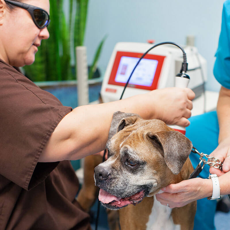 Laser Therapy