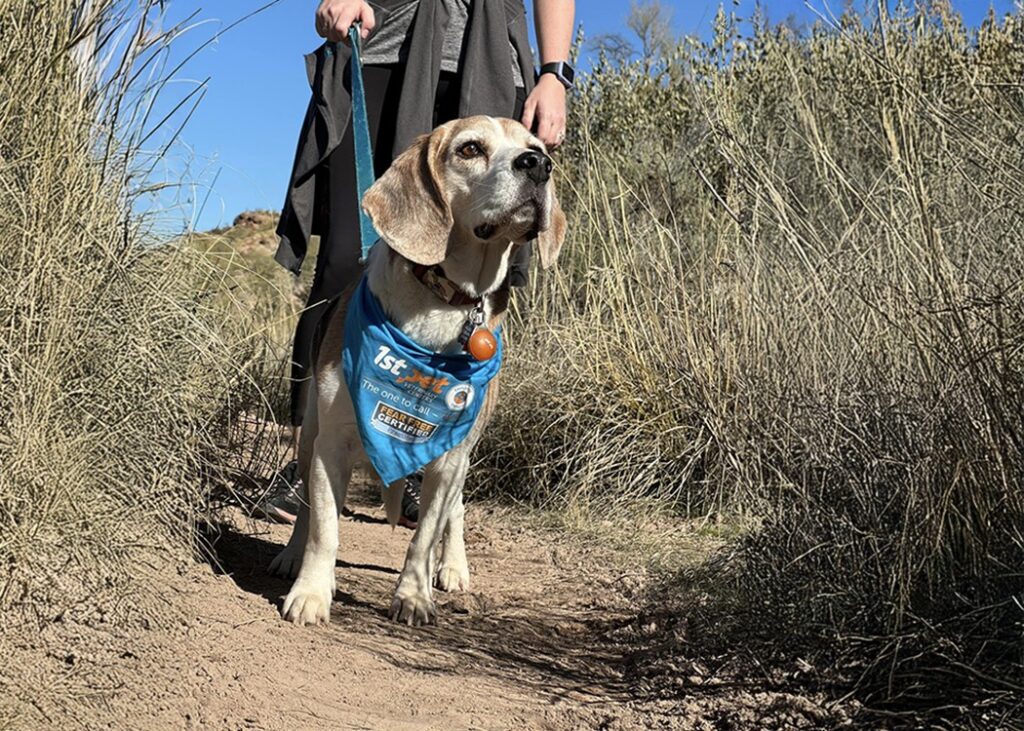 hiking safety