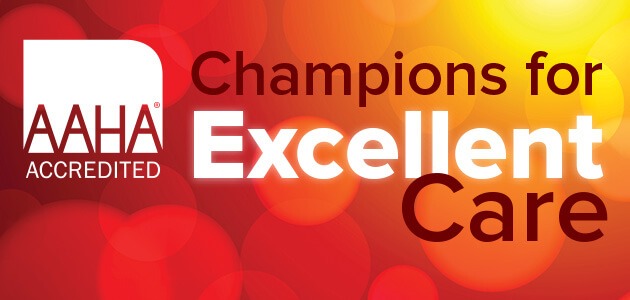 AAHA Accredited Champions for Excellent Care