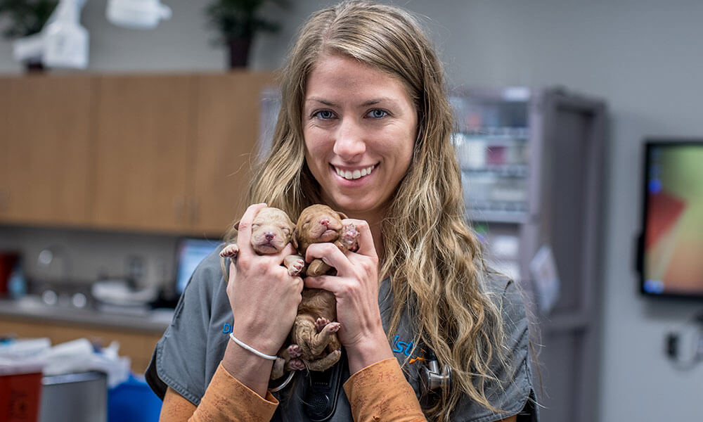 Dr. Amy Gassman