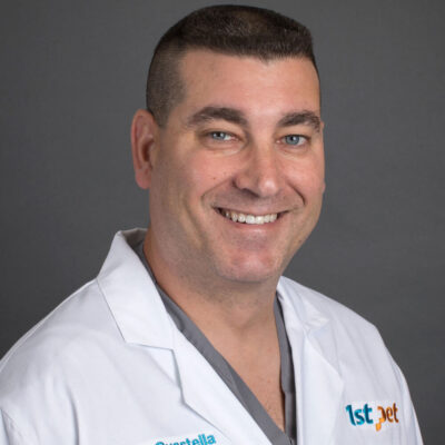 Dan Guastella, DVM, DACVS