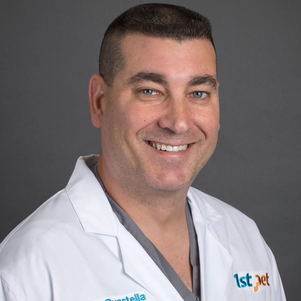 Dan Guastella, DVM, DACVS