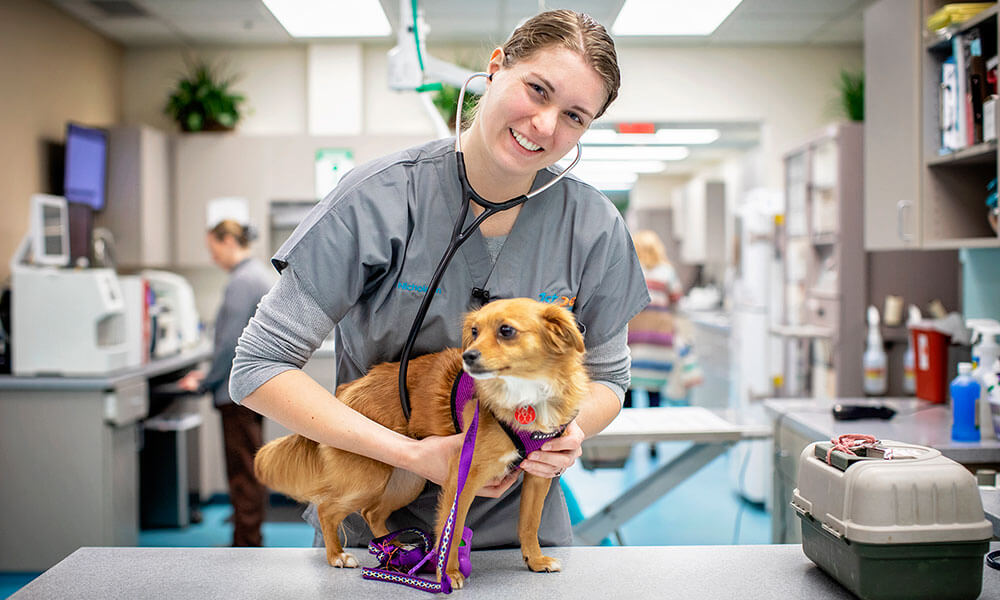 Dr. Lisa Nicholson