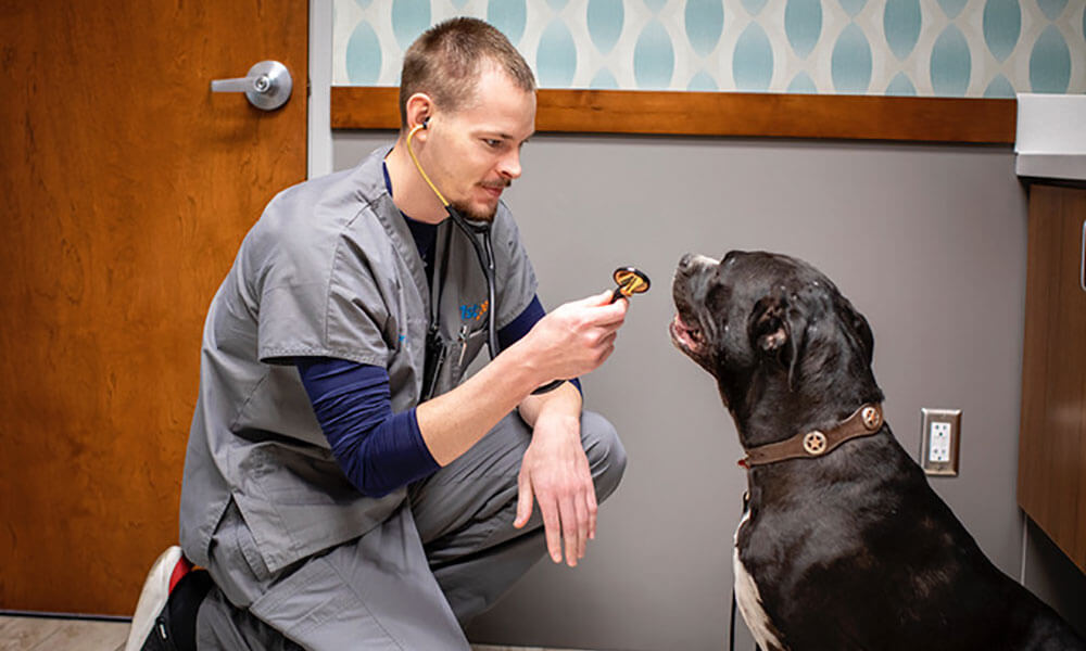 Dr. Ryan Bunce