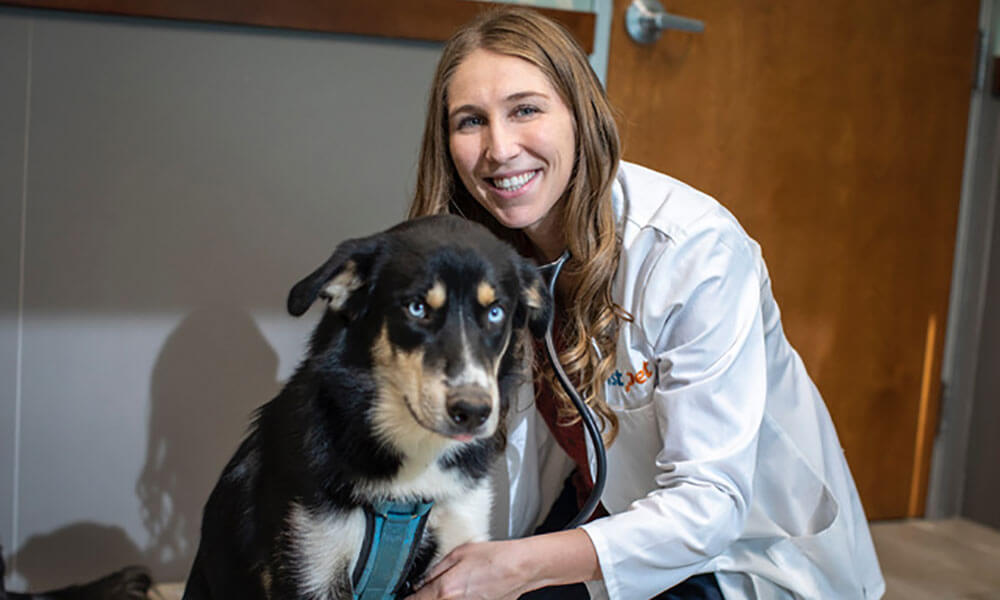 Dr. Staci Hineman