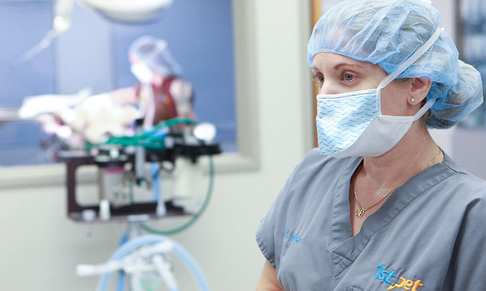 Dr. Yael Berko