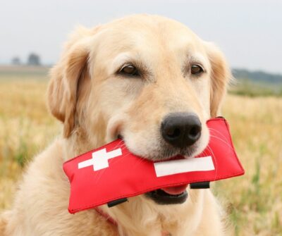 first aid for heat stroke