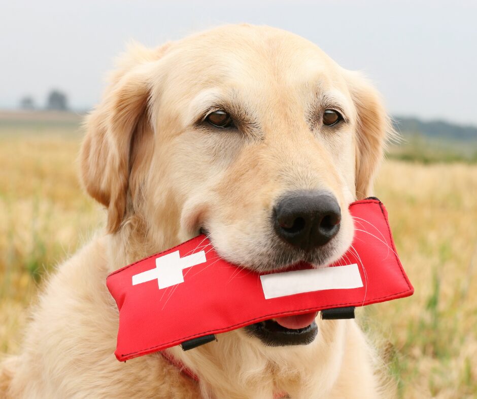 first aid for heat stroke